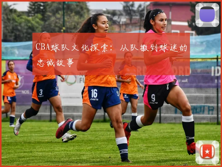 CBA球队文化探索：从队徽到球迷的忠诚故事
