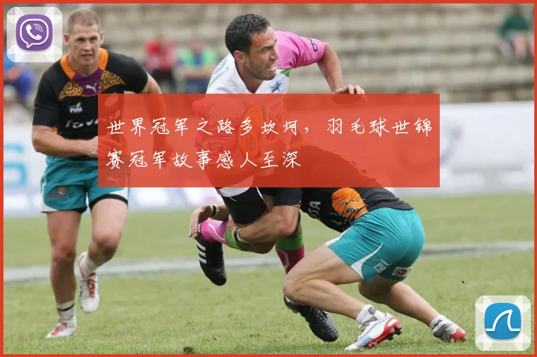 世界冠军之路多坎坷，羽毛球世锦赛冠军故事感人至深